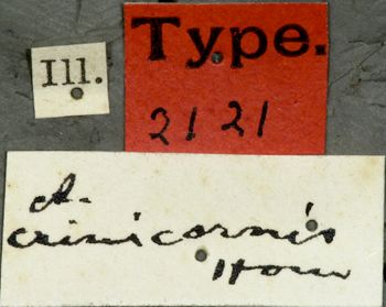 Media type: image;   Entomology 2121 Aspect: labels 3
